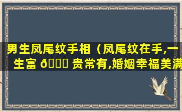 男生凤尾纹手相（凤尾纹在手,一生富 🍀 贵常有,婚姻幸福美满,婚后衣食无忧）